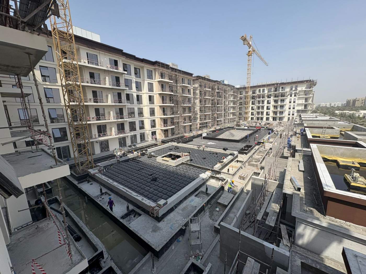 CBE, Hamilton Project